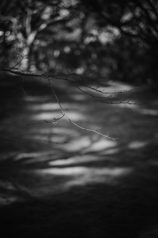 L1000374
